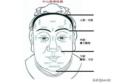 地閣潤意思|【地閣潤意思】天庭飽滿？地格方圓？地閣潤意思你不可不知！ –